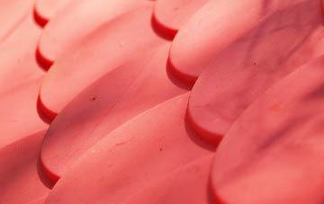 Haighton Green plastic roof costs