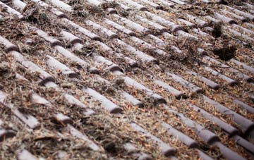 Haighton Green roof cleaning companies