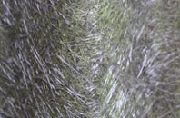 Haighton Green fibreglass roof work